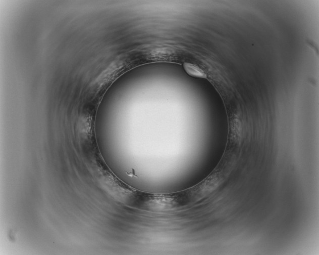 X0000103270278200808291247