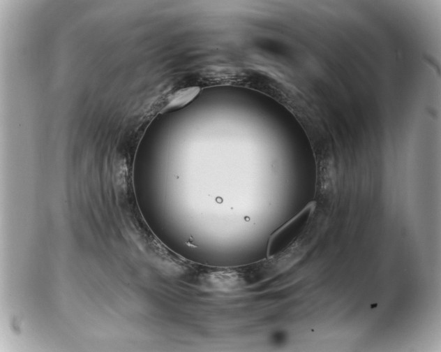 X0000103270279200808291247