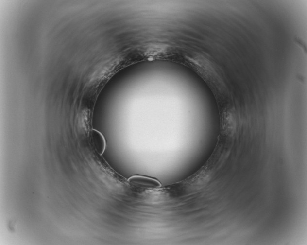 X0000103270280200808291247