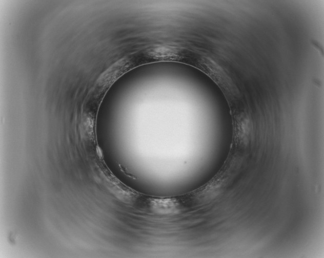 X0000103270281200808291247