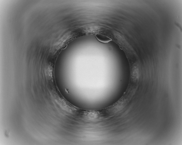 X0000103270282200808291247