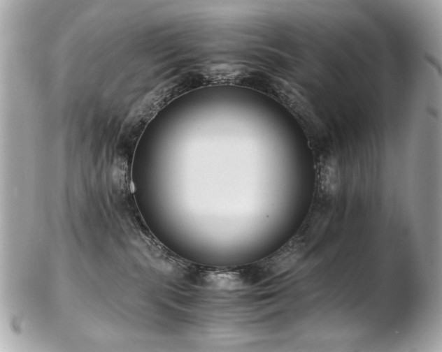 X0000103270283200808291247