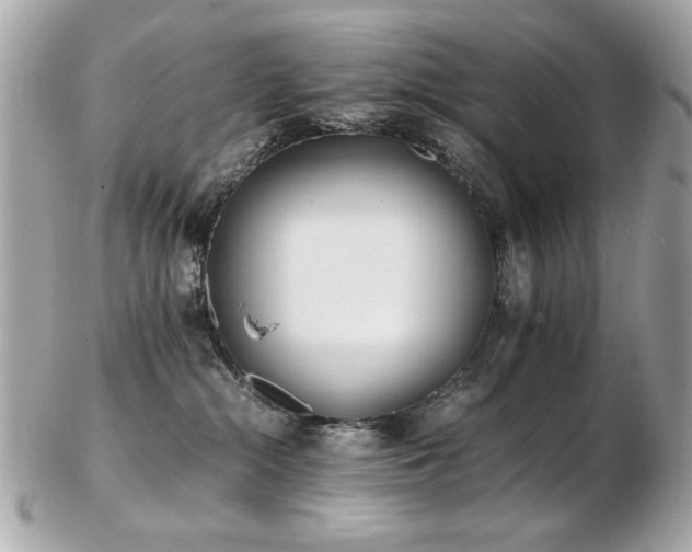 X0000103270284200808291247