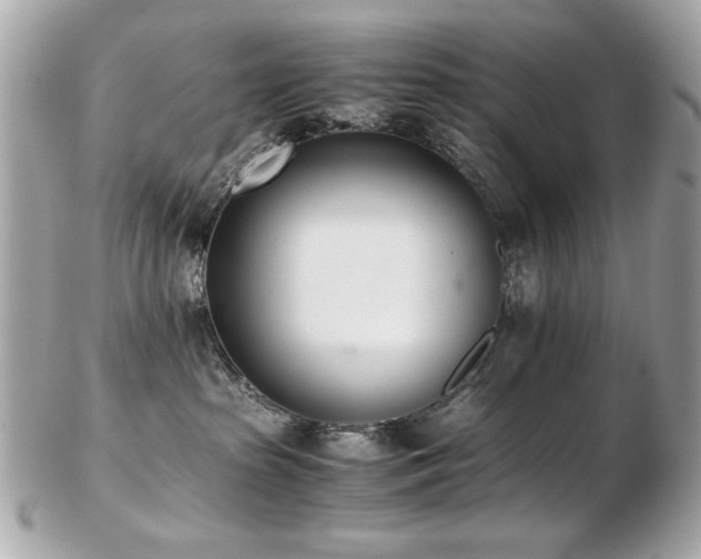 X0000103270285200808291247
