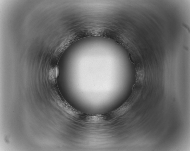 X0000103270286200808291247