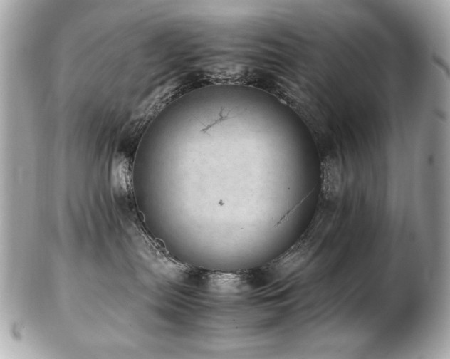 X0000103270287200808291247