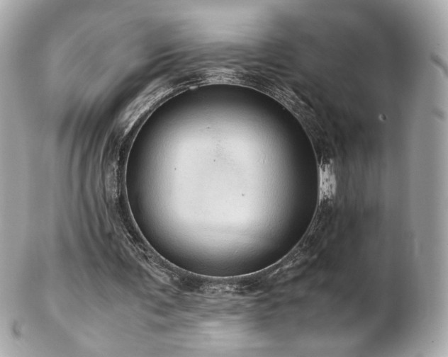 X0000103270291200808291246
