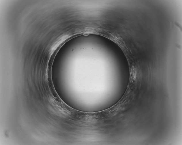 X0000103270292200808291246