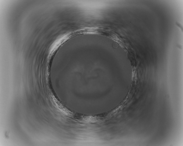 X0000103270293200808291246