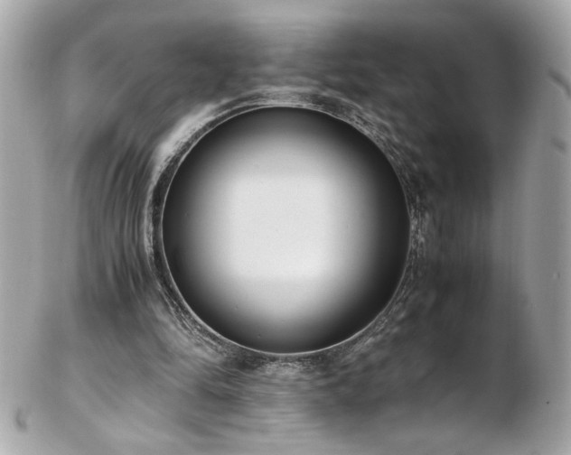 X0000103270294200808291246