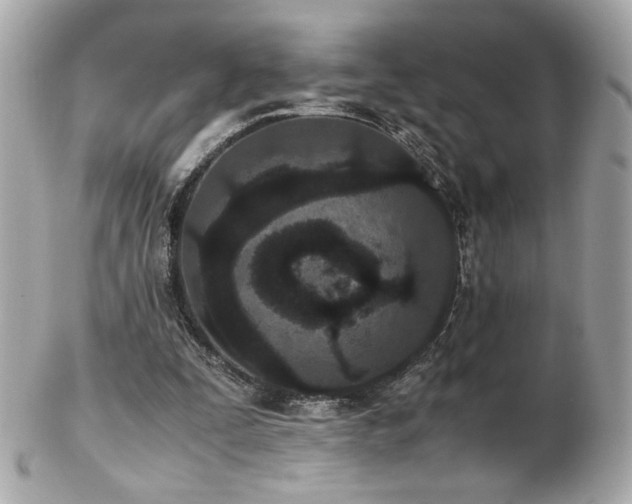X0000103270295200808291246