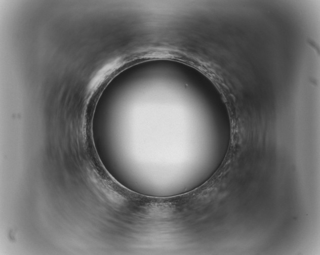 X0000103270296200808291246
