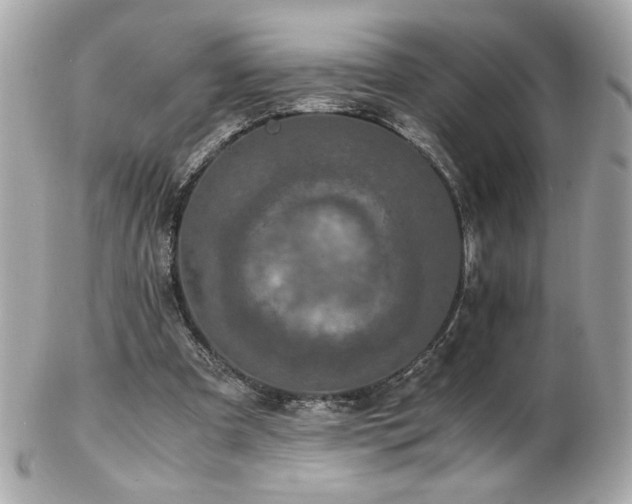X0000103270297200808291246