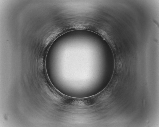 X0000103270299200808291246