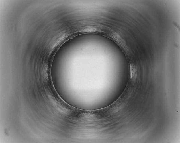 X0000103270300200808291246