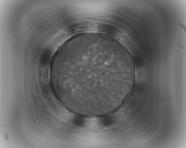 X0000103270301200808291246