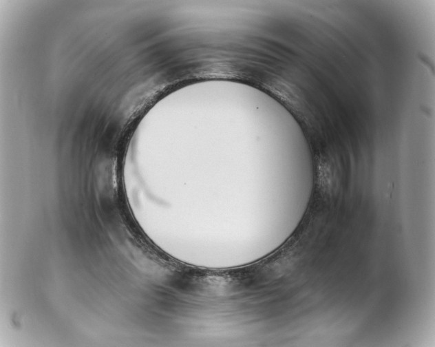 X0000103270302200808291246