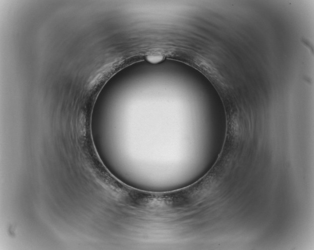 X0000103270303200808291246