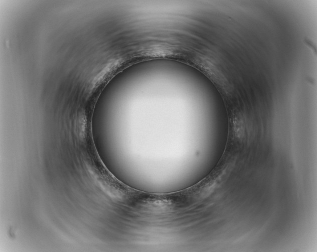 X0000103270304200808291246
