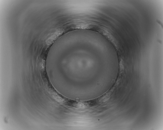 X0000103270305200808291246