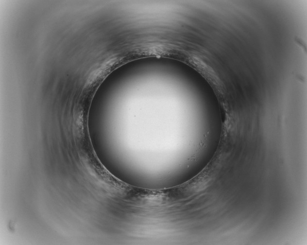 X0000103270306200808291246
