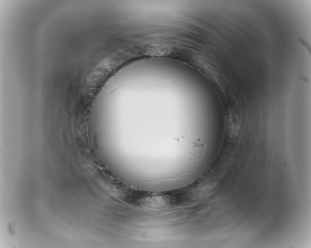 X0000103270307200808291246