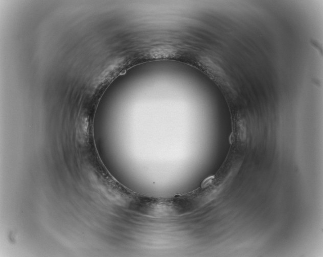 X0000103270308200808291246