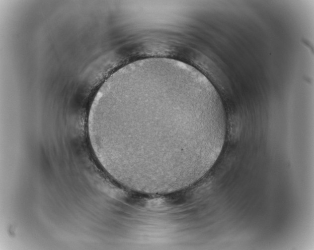 X0000103270309200808291246