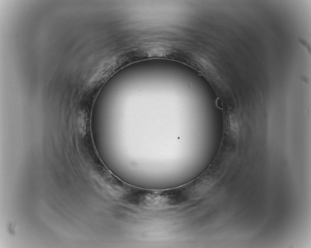 X0000103270311200808291246
