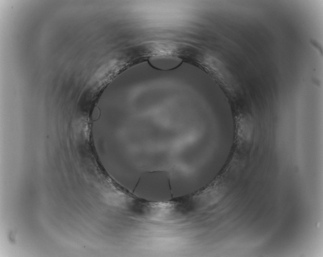 X0000103270313200808291246