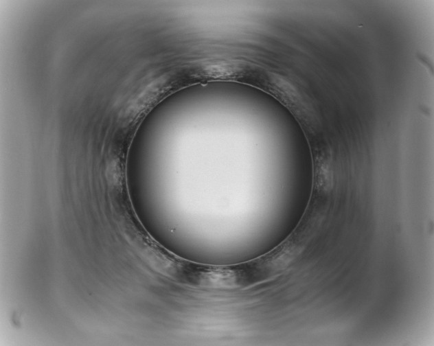 X0000103270317200808291246