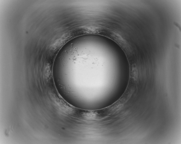 X0000103270318200808291246
