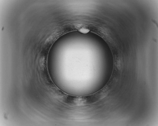X0000103270319200808291246