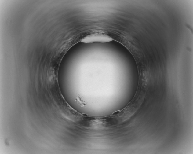 X0000103270320200808291246