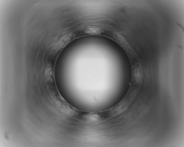 X0000103270322200808291246
