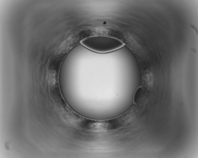 X0000103270323200808291246
