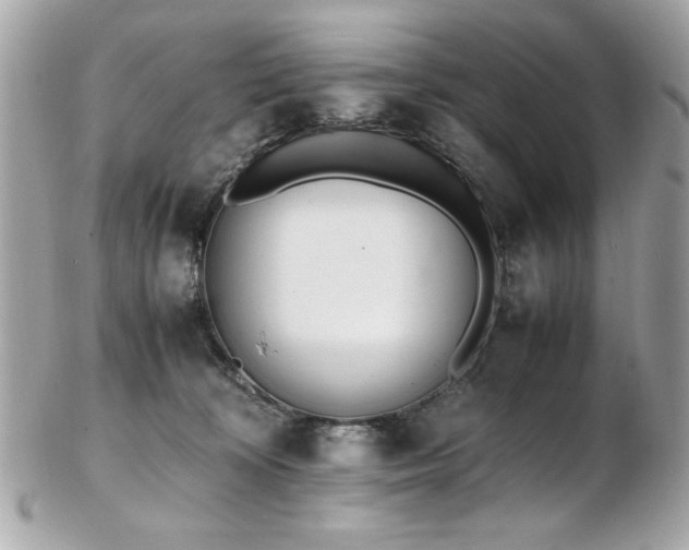 X0000103270324200808291246