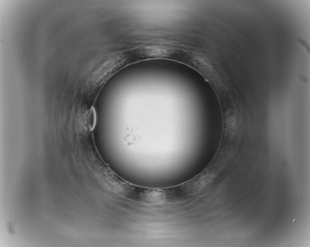 X0000103270325200808291246