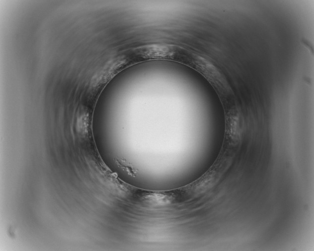 X0000103270326200808291246