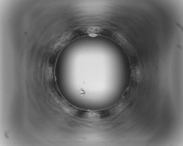 X0000103270327200808291246