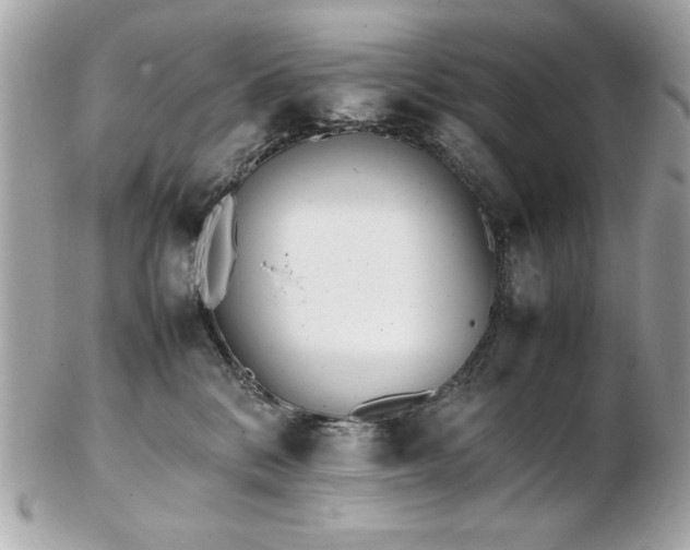 X0000103270328200808291246