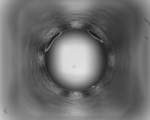 X0000103270329200808291246
