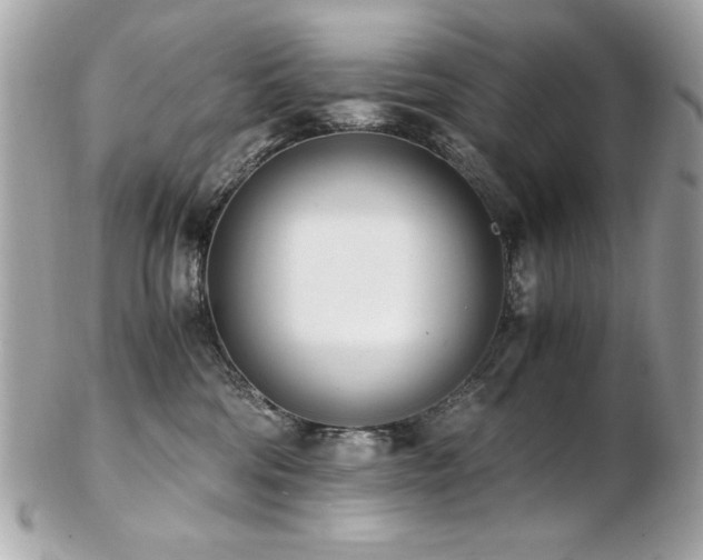 X0000103270330200808291246