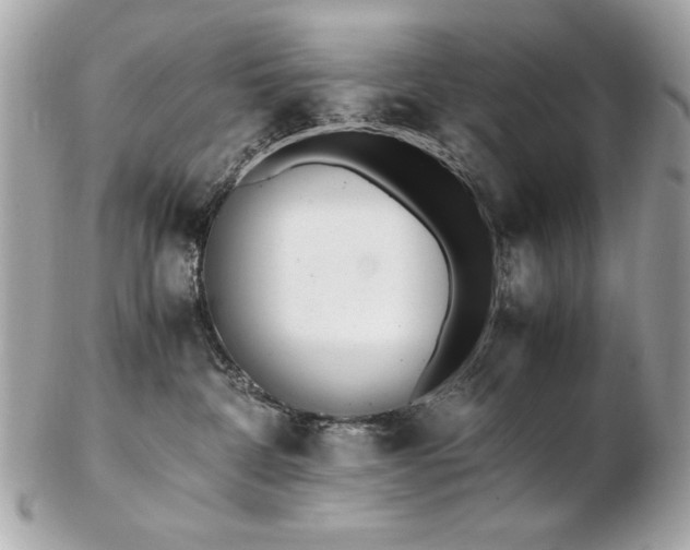 X0000103270332200808291246