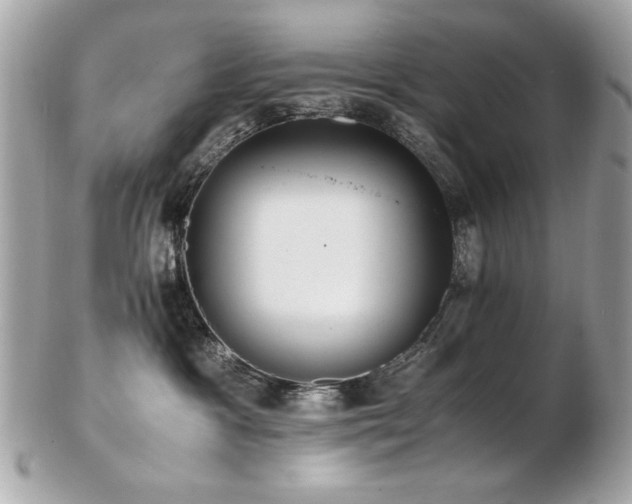 X0000103270333200808291246
