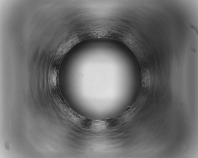 X0000103270334200808291246
