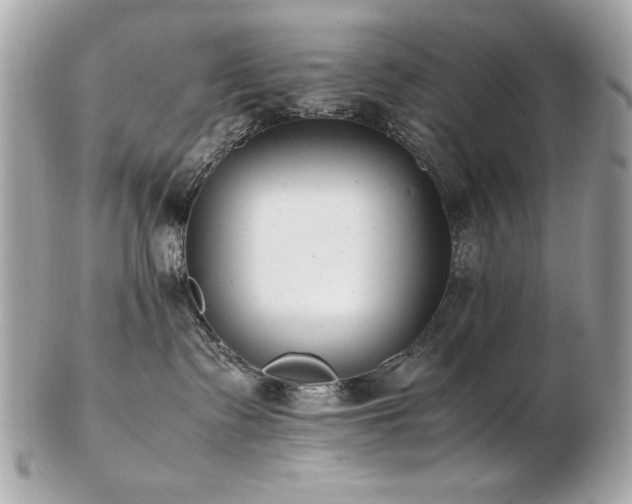 X0000103270335200808291246