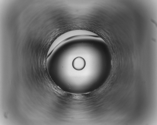 X0000103270336200808291246