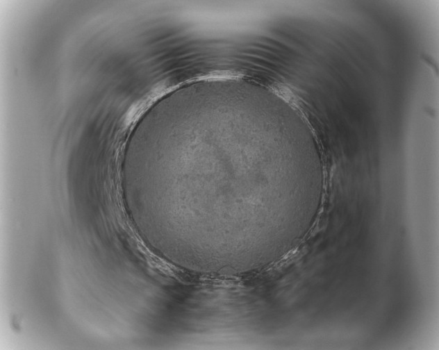 X0000103270337200808291245