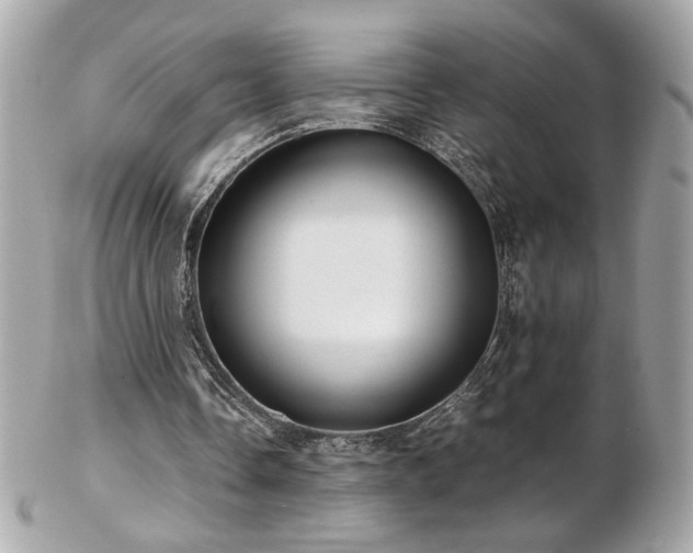 X0000103270338200808291245